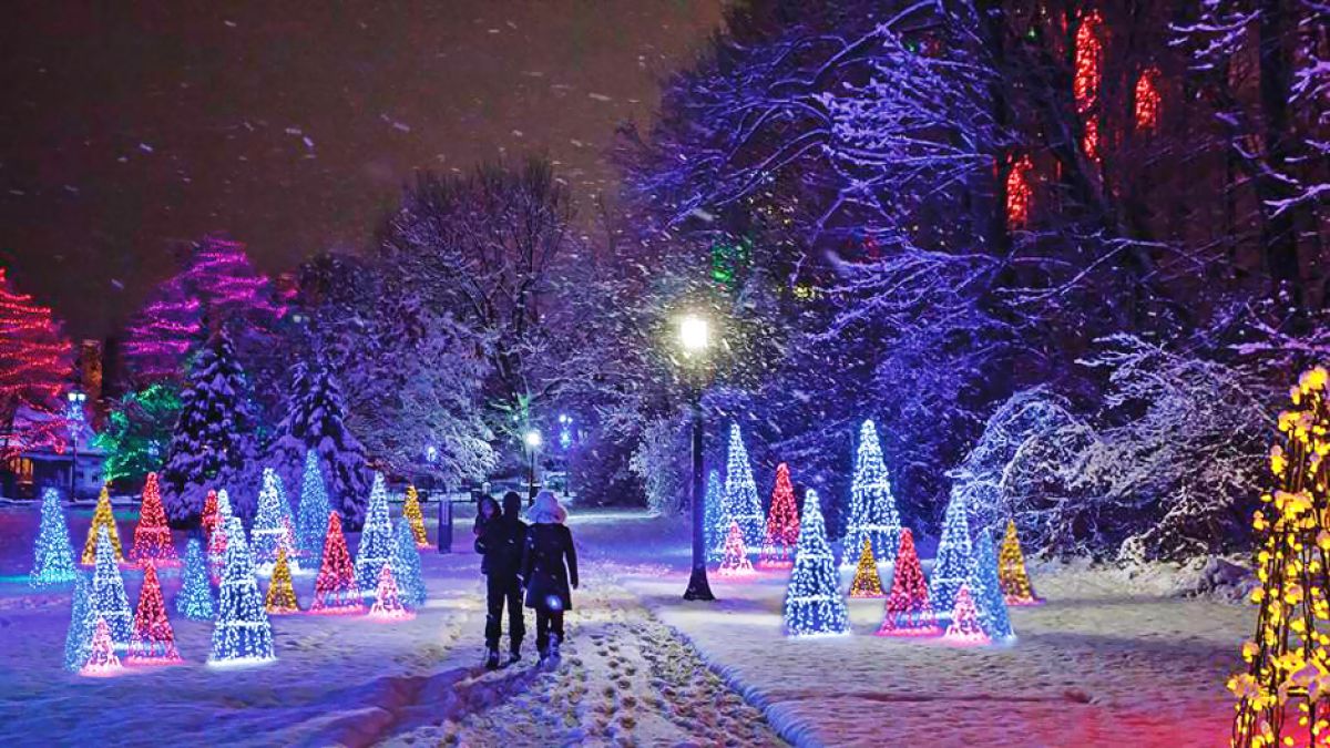 The Winter Festival of Lights in Niagara Falls Layman Tour & Transport