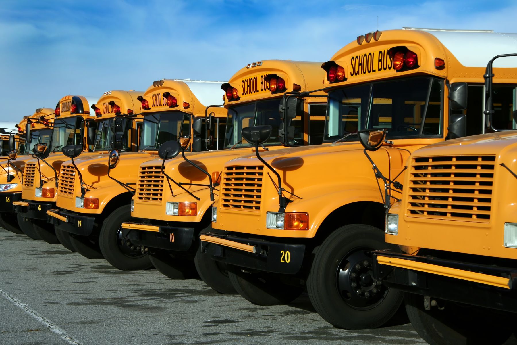 autobus-scolaire-layman-tour-transport